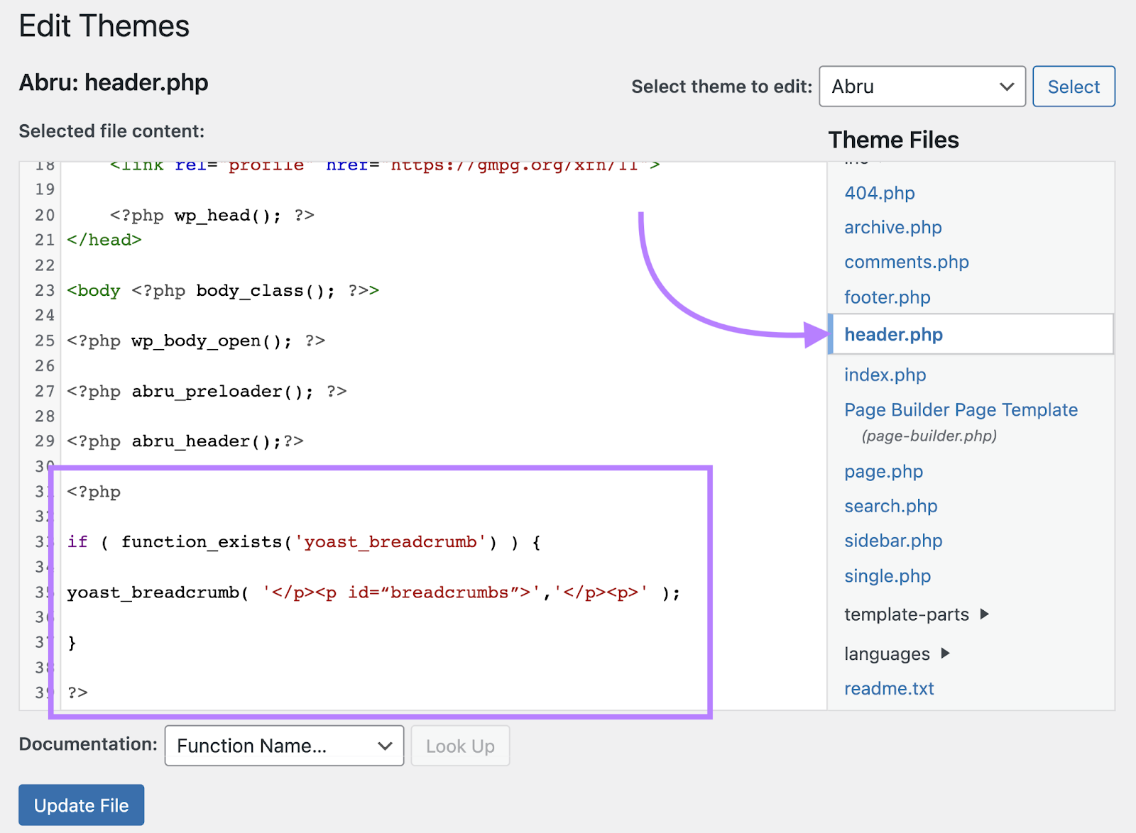 Code pasted in the theme editor, under “header.php”section