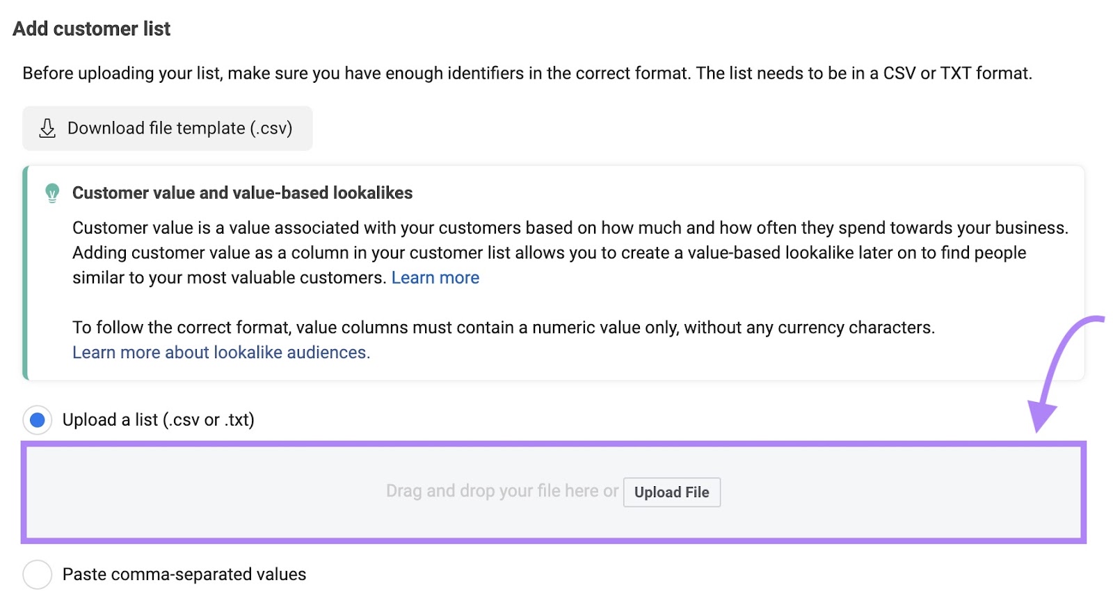 Option to upload a CSV or text file of your email list for a 再评论 campaign on Meta Ads Manager.