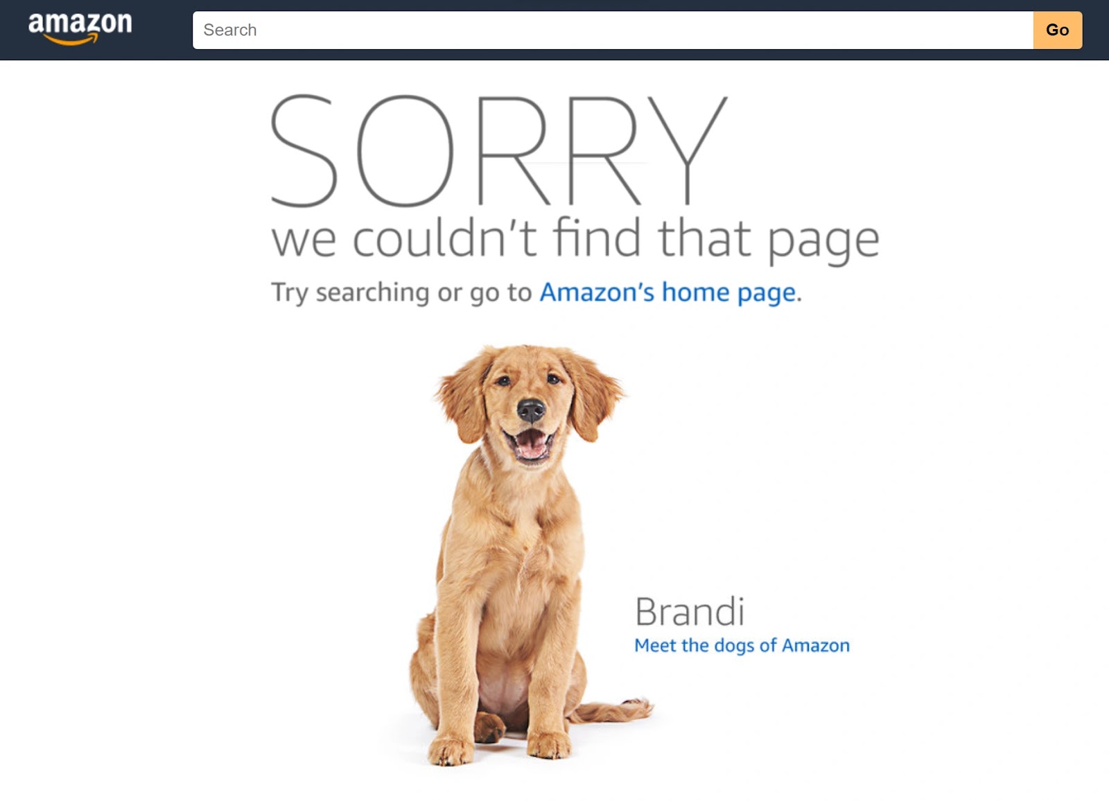 Amazon's custom 404 page with an image of a dog named