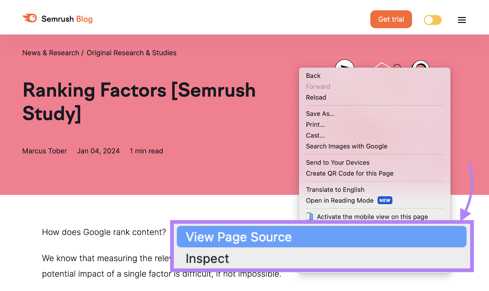 “查看页面源” button on Semrush Blog page