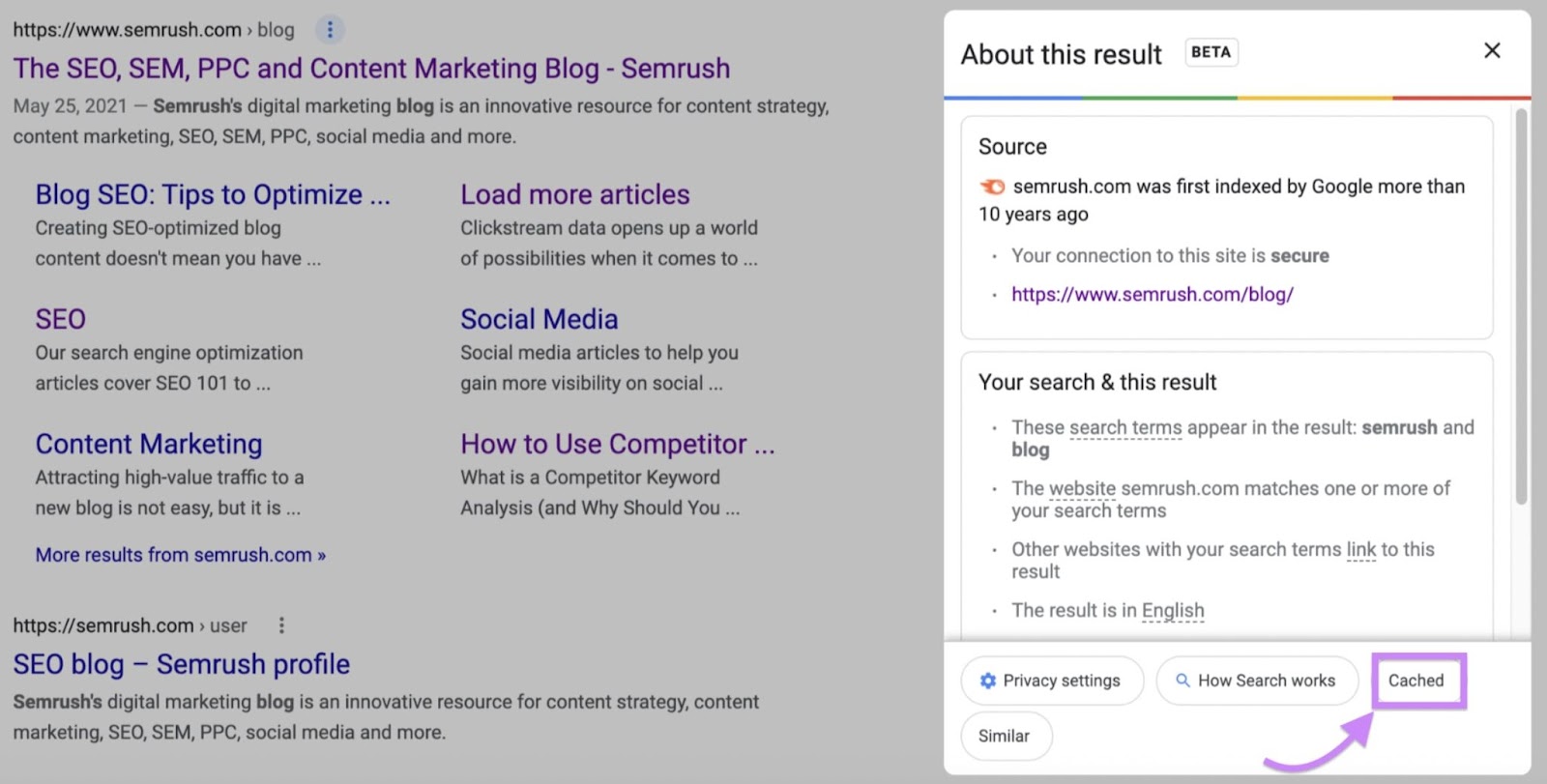 Google panel’s “缓存的”link button
