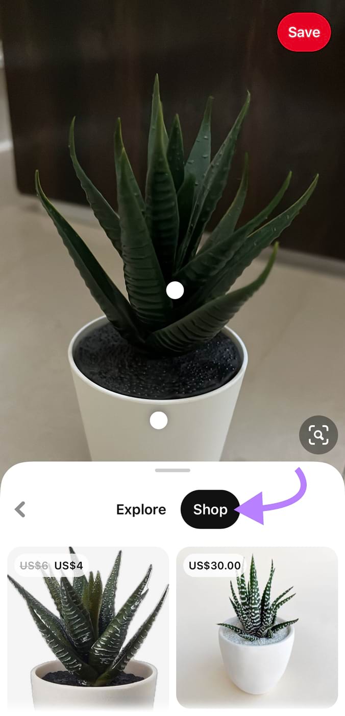 An image of a plant uploaded to Pinterest Lens, showing product results in the