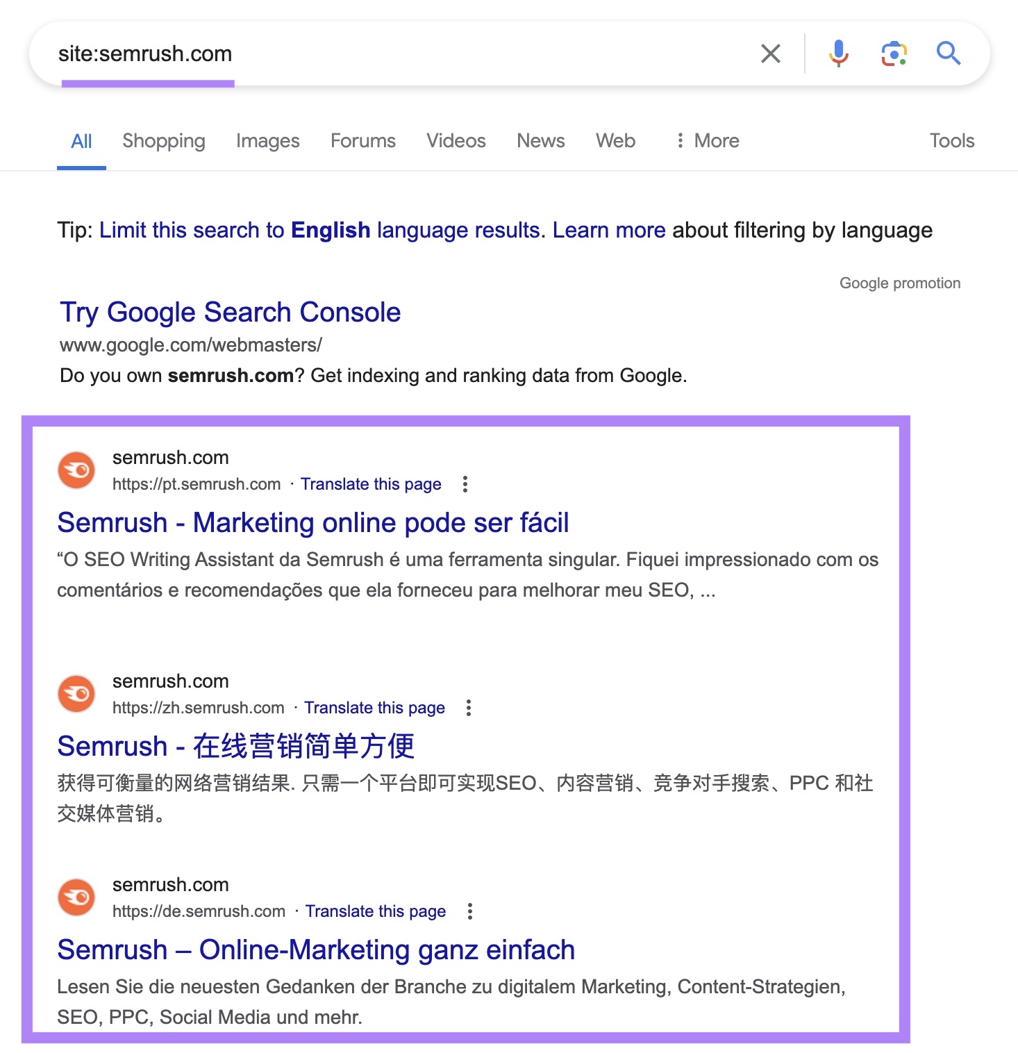 site search for