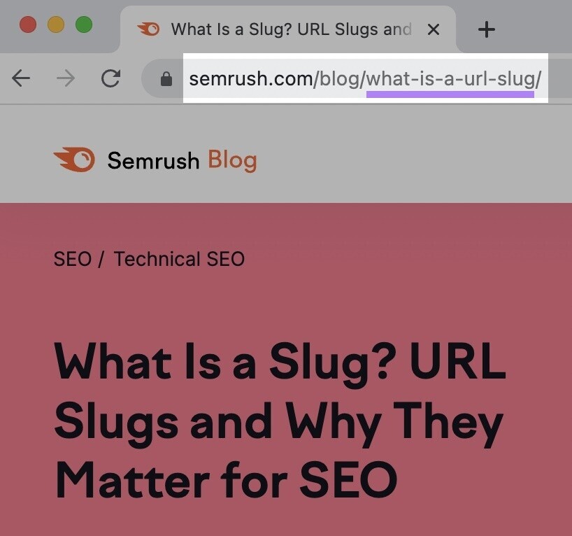 url 鼻涕虫 example in the browser search bar