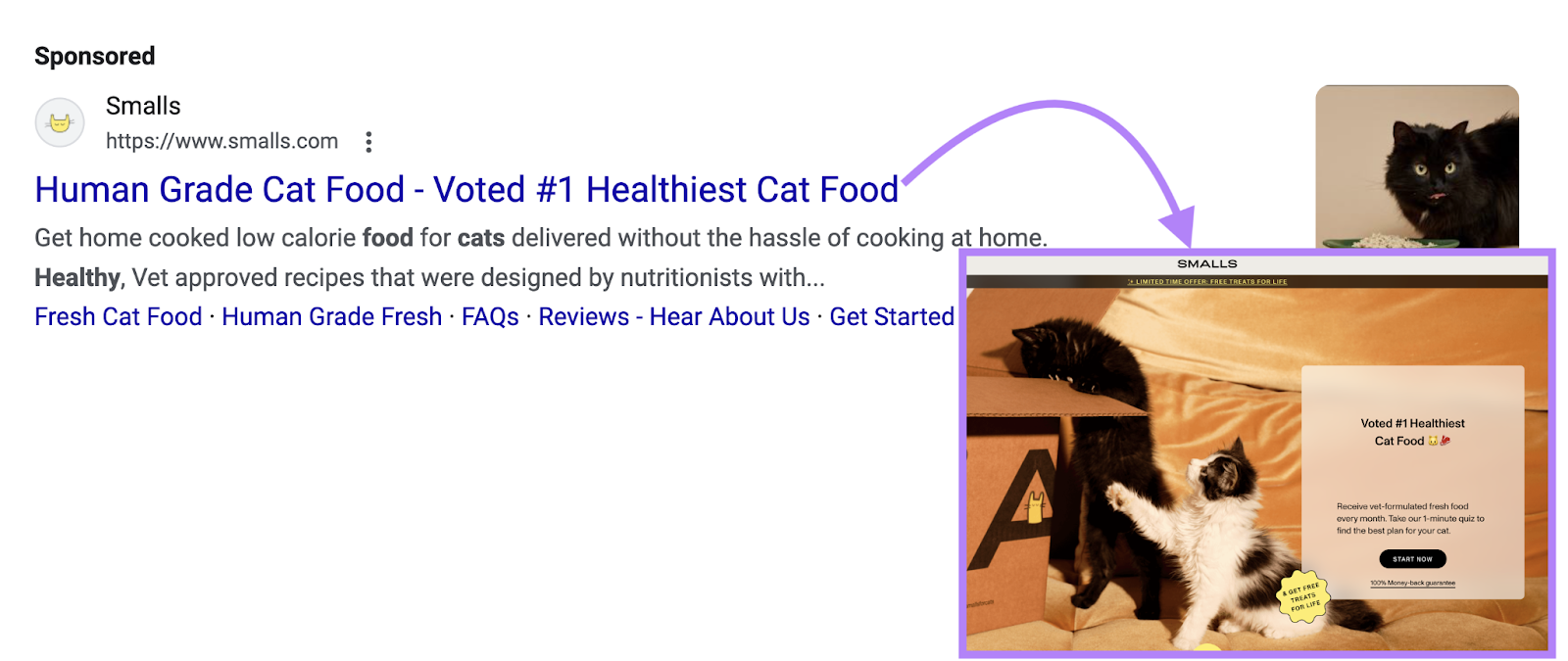 google search text add for a cat food brand with the destination 着陆页. The visuals are similar和the phrase 