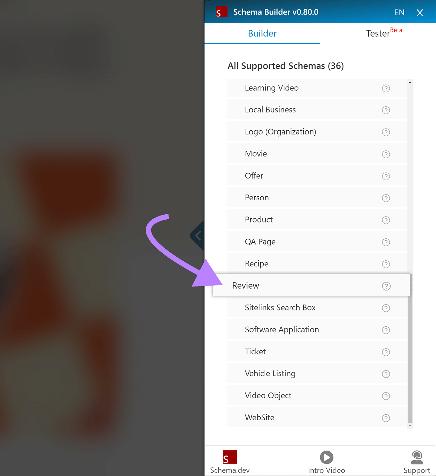 Schema Builder sidebar with arrow pointing to 检讨 option under All Support Schemas