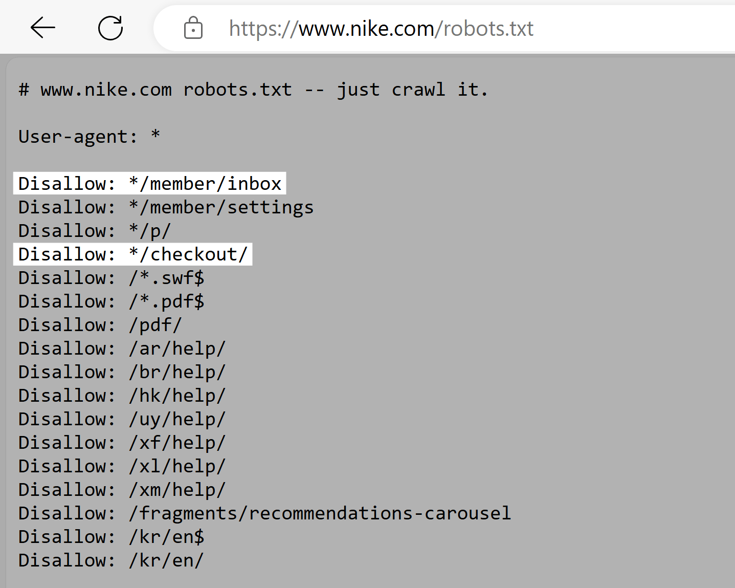 耐克 robots.txt file with highlights showing disallowed URL paths