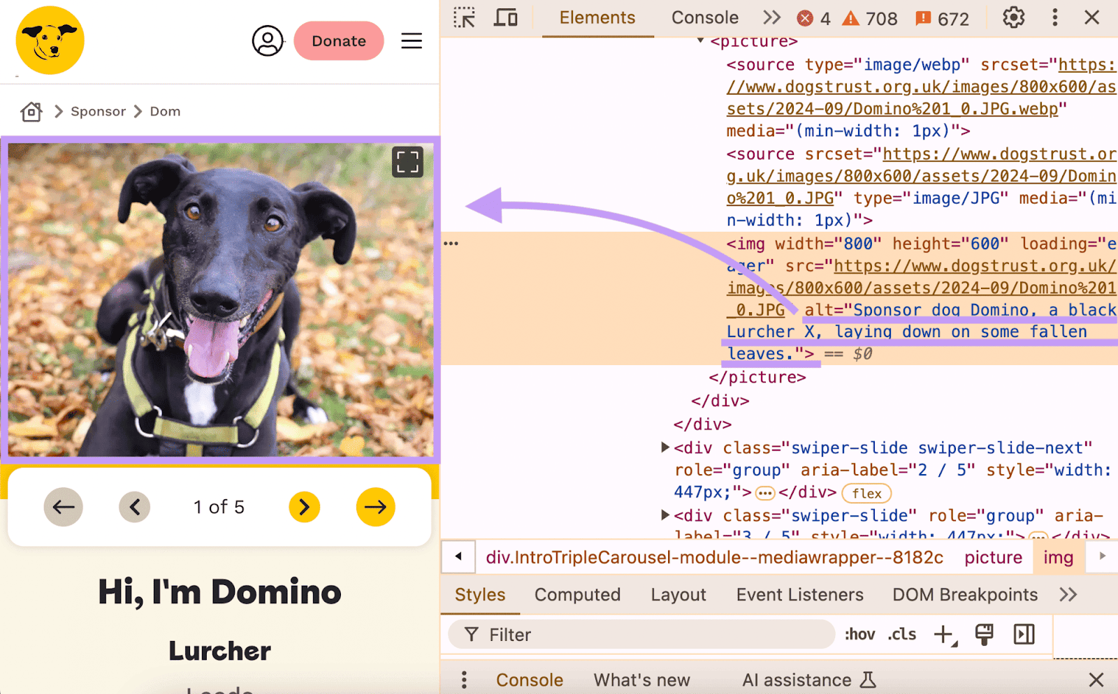 Alt text found in a page's code for a dog picture that says