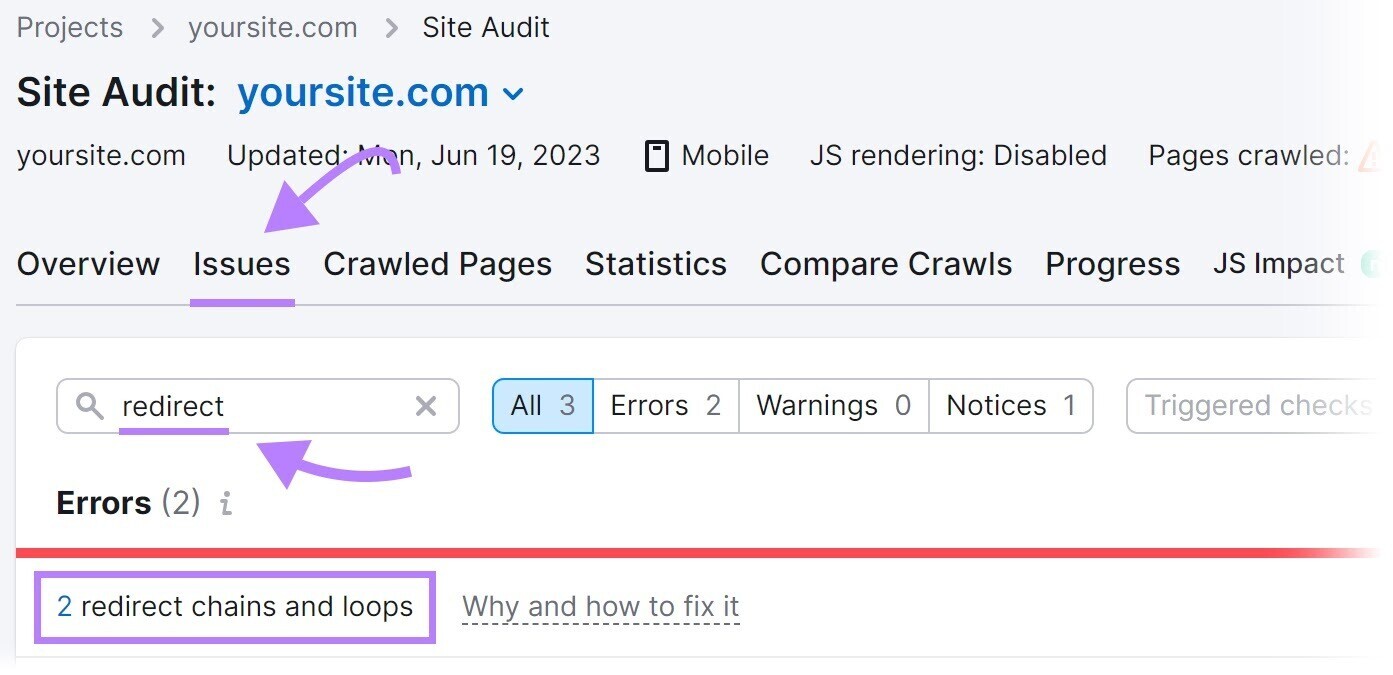 Errors section in 现场审核 showing “2 redirect chains和loops”