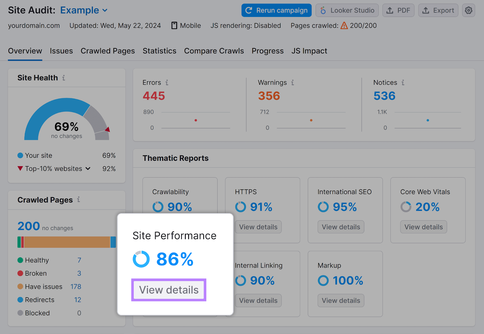 现场审核 概览 report with Site Performance section和查看详情 button highlighted.
