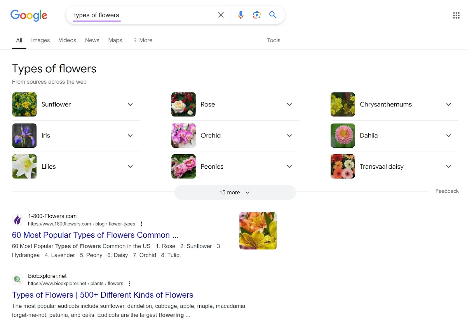 Google 搜索 Engine Results Page为the 