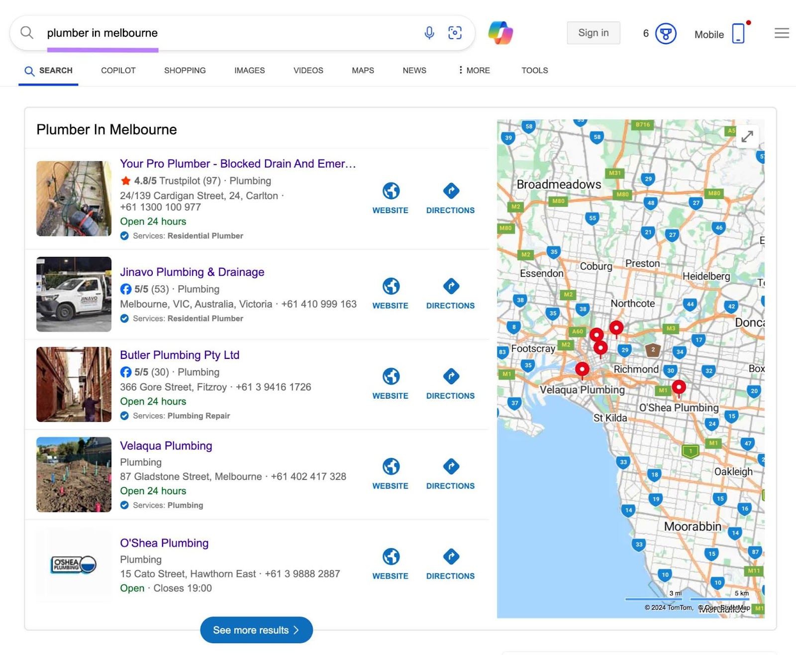 Bing SERP with the term