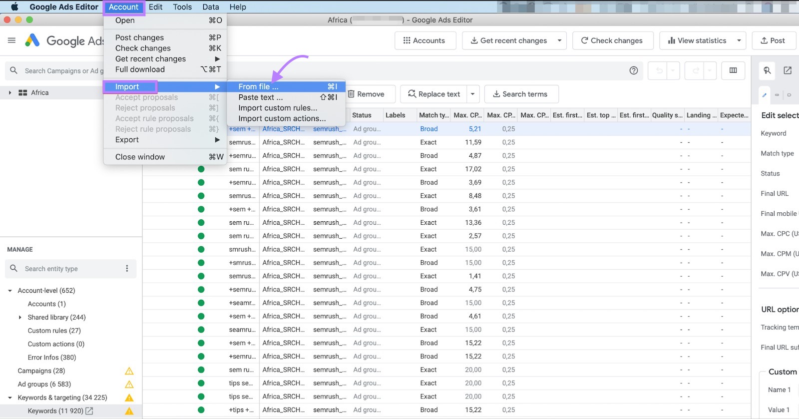 Google Ads Editor with '帐户' tab highlighted alongside '进口' and '从档案' options