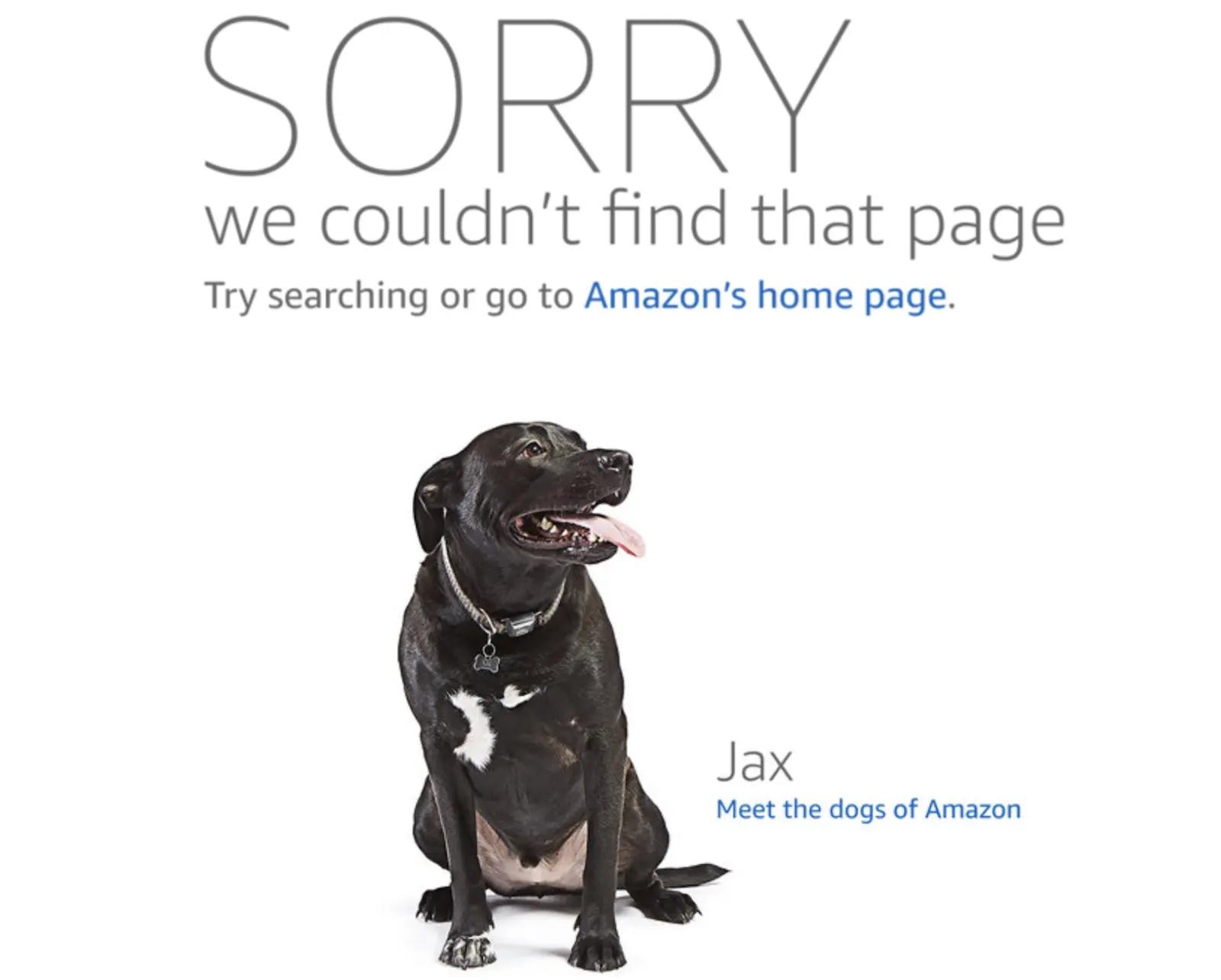 Amazon's 404 error page that reads 