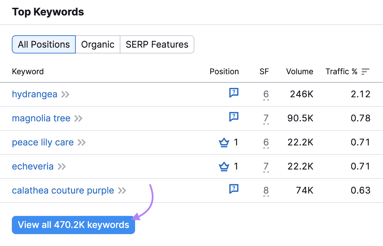 Top Keywords widget shows top 关键字s for that domain