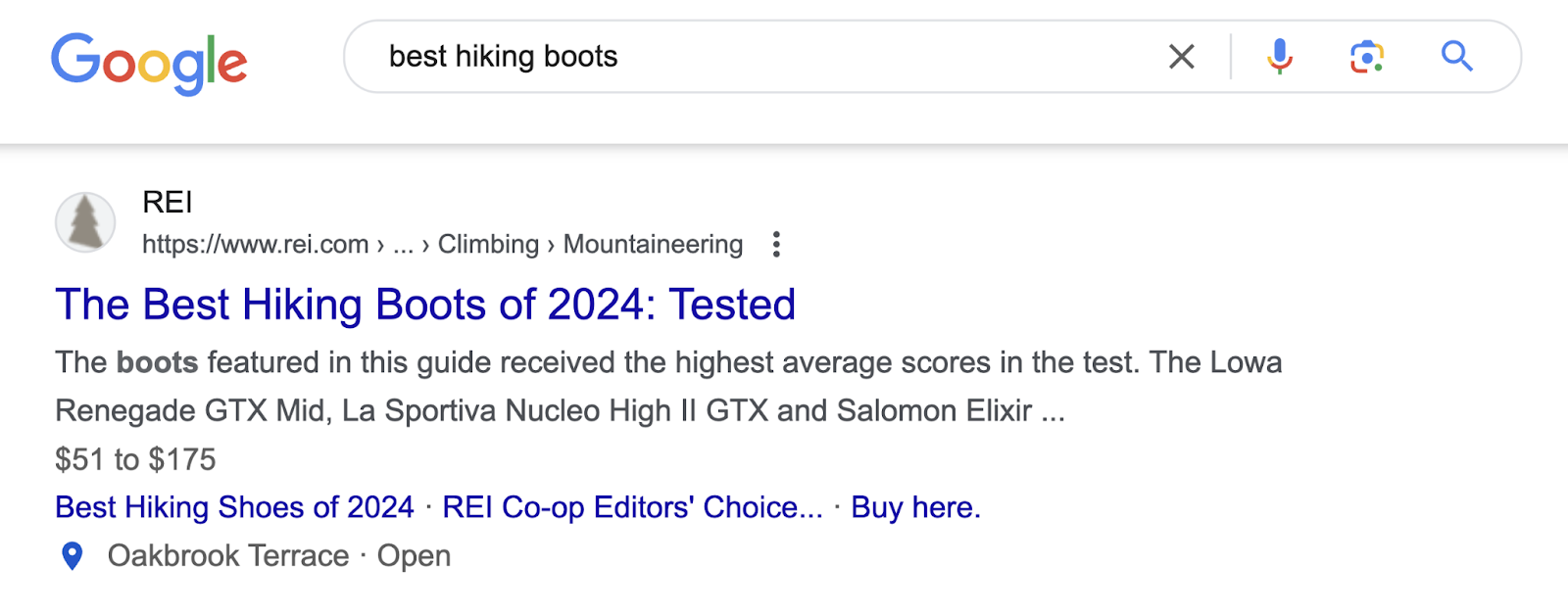 Google's top organic result for