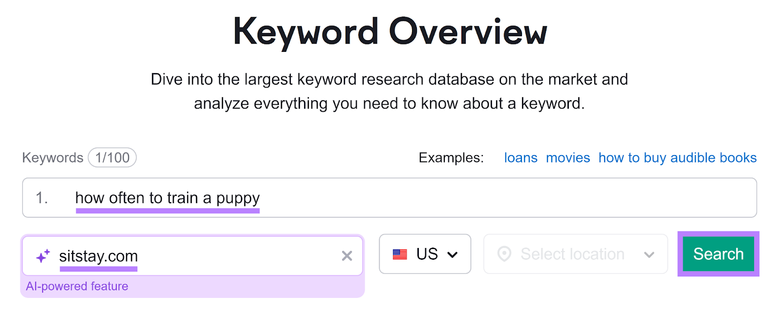 关键字概述 start page with keyword 和 domain entered 和 搜索 button highlighted