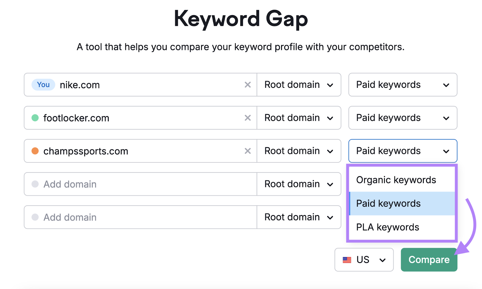 domains entered和paid keywords option chosen