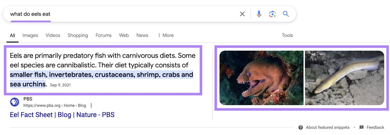 Google SERP for the term 