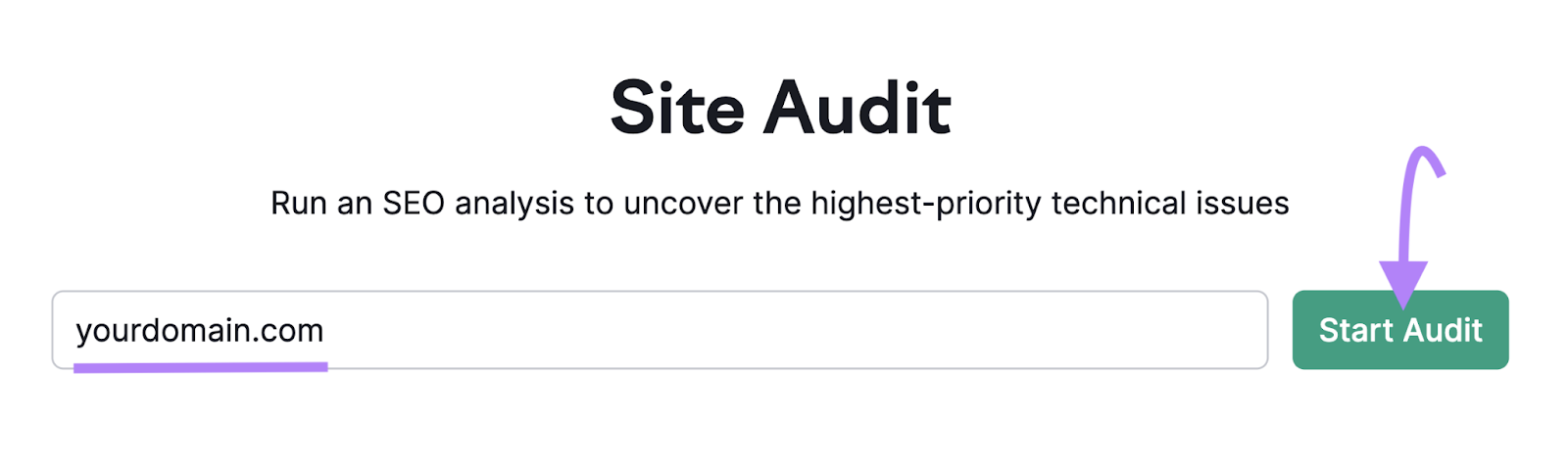 domain entered into 网站审核工具