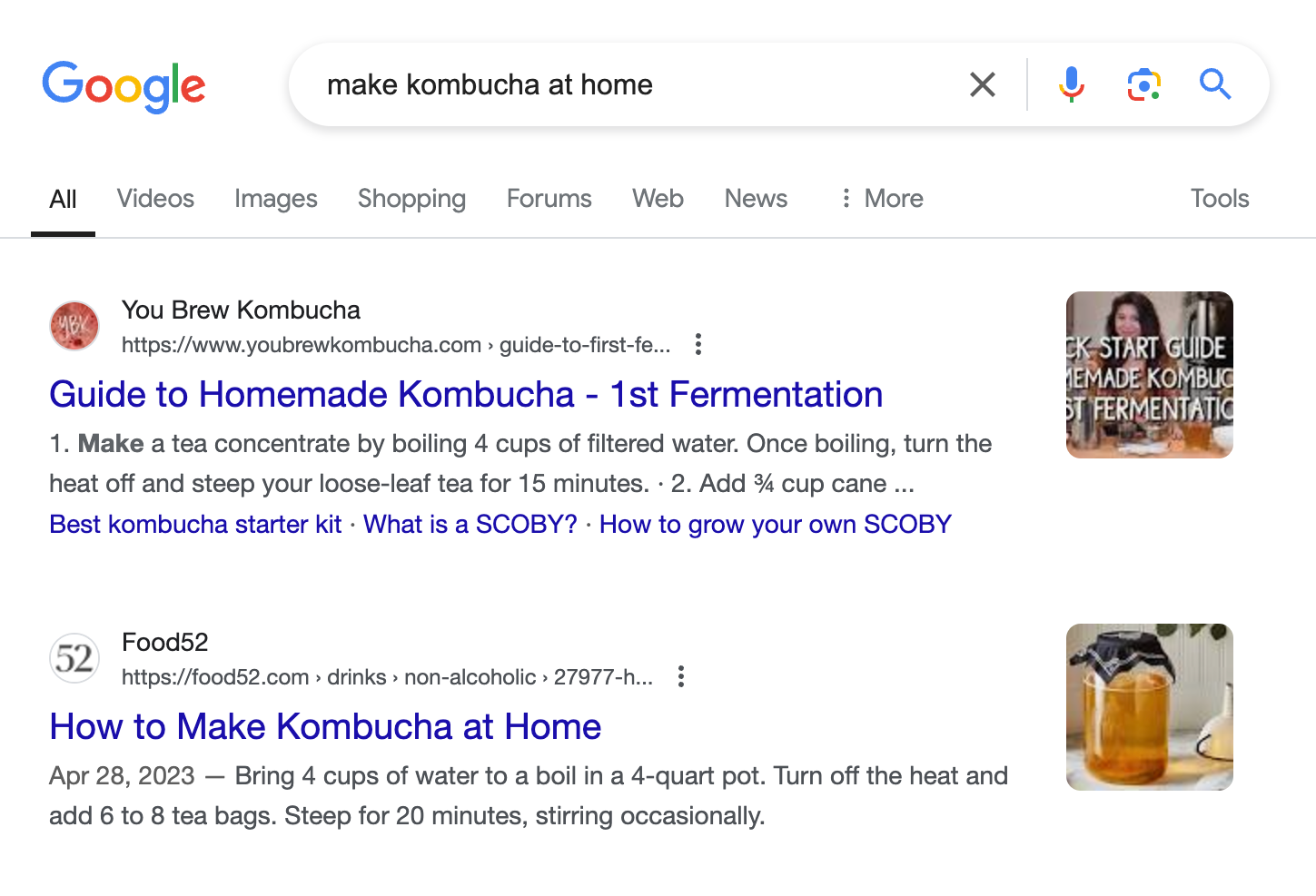 organic results show two guides for how to 