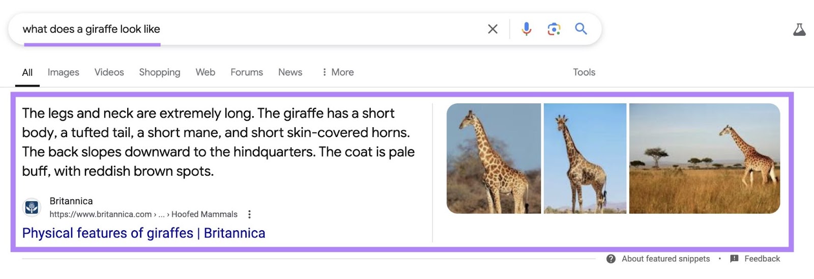Google SERP for the term 