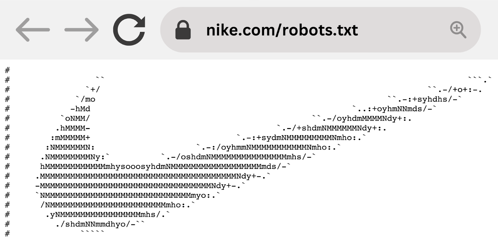 耐克's robots.txt example