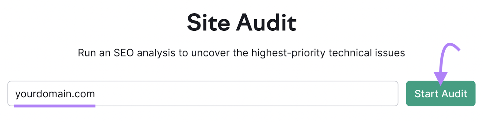 domain entered into 现场审核 tool