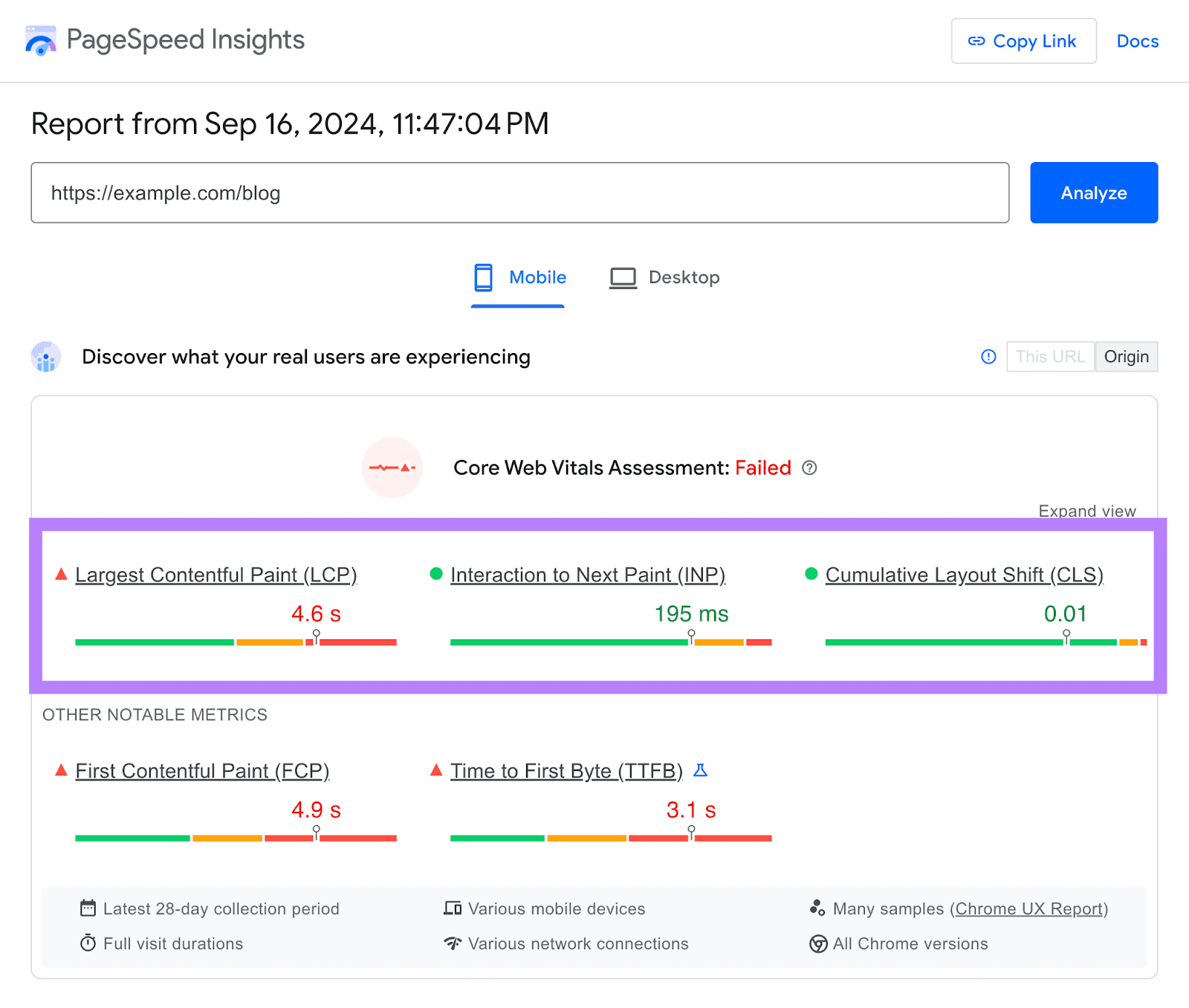 A failed 核心网络重要部件 assessment done through PageSpeed Insights