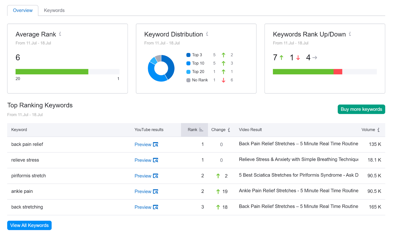 Overview tab showing channel keyword metrics like Average Rank, Keyword Distribution,而Top Ranking 关键词