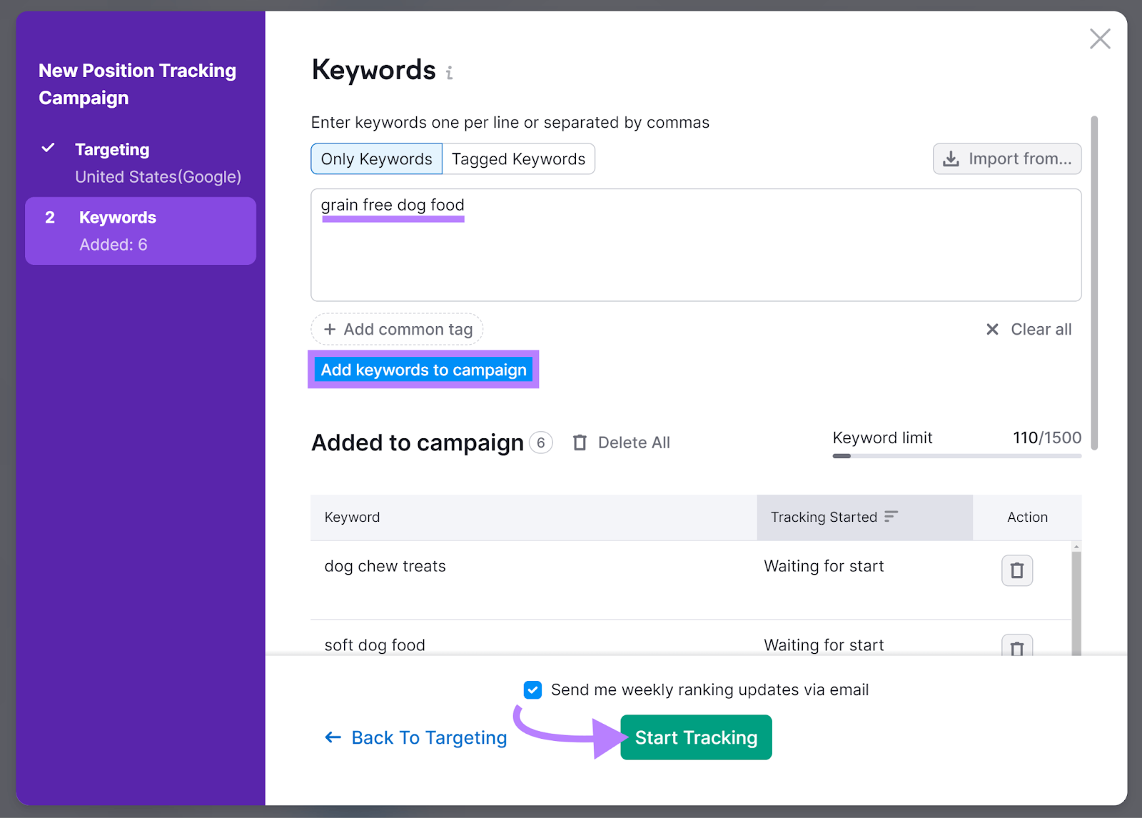 Keyword configuration step with arrow pointing to 开始追踪 button