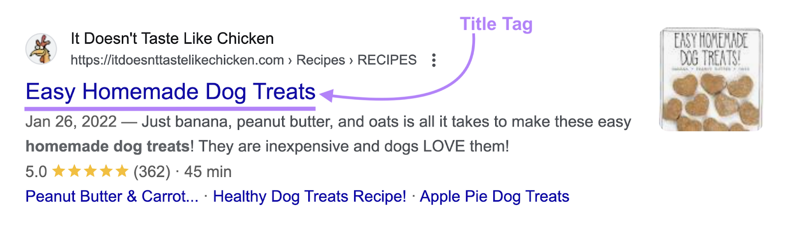 This 标题标签 on the SERP 和 in the code says easy homemade dog treats