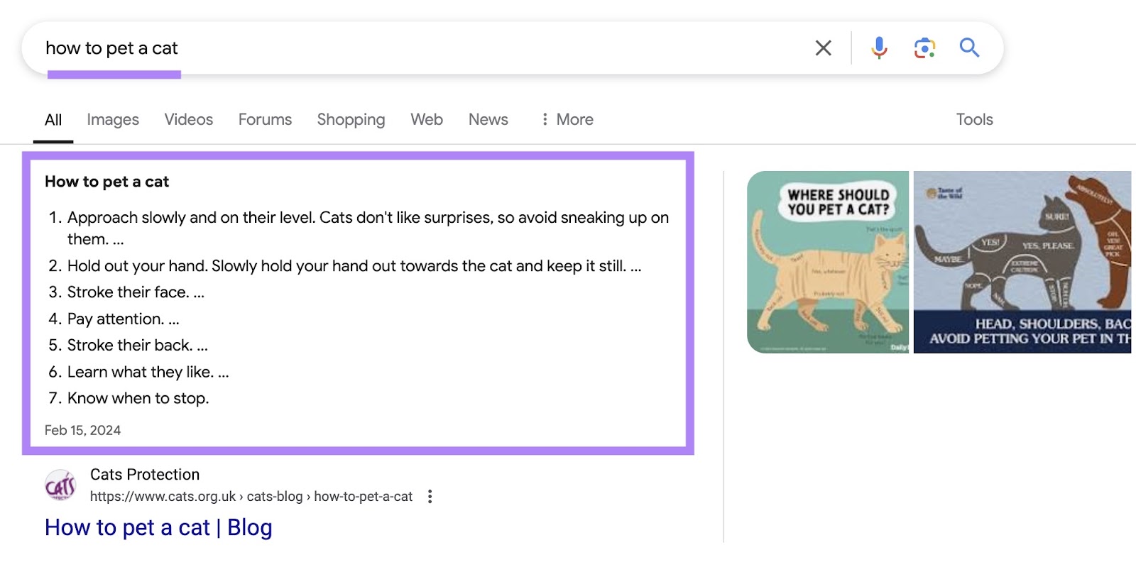 Google SERP for the term 