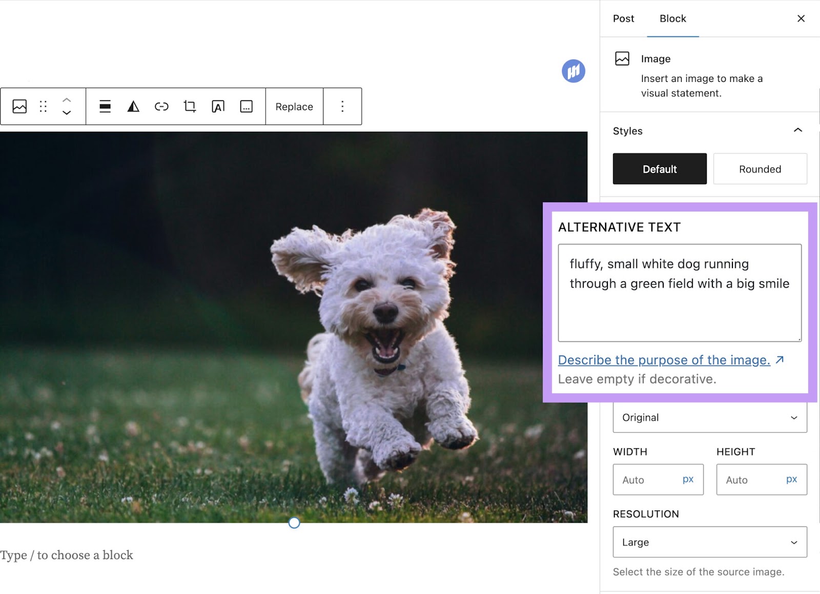 Box for alt文本 in WordPress highlighted with the text