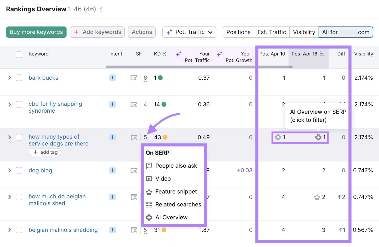 Rankings 概览 on the 位置跟踪 tool showing SERP features which appear for a keyword and whether the site is featured in them.