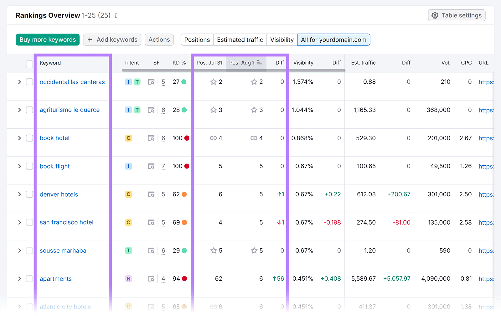 Rankings 概览 table with Keyword和Positions columns highlighted