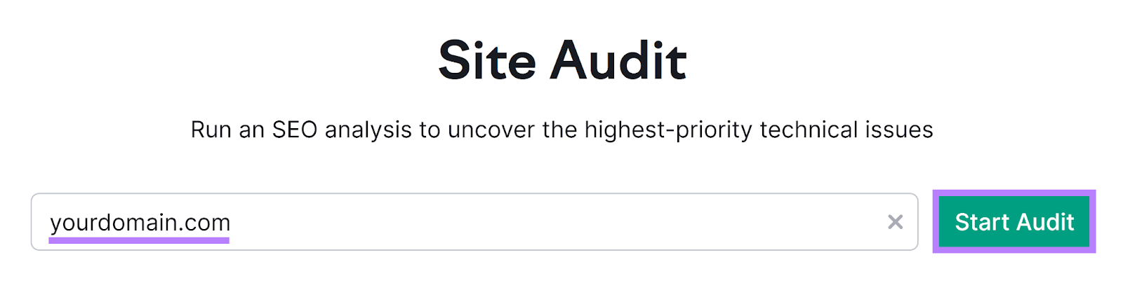 现场审核 tool start with domain entered and 现场审核 button highlighted.