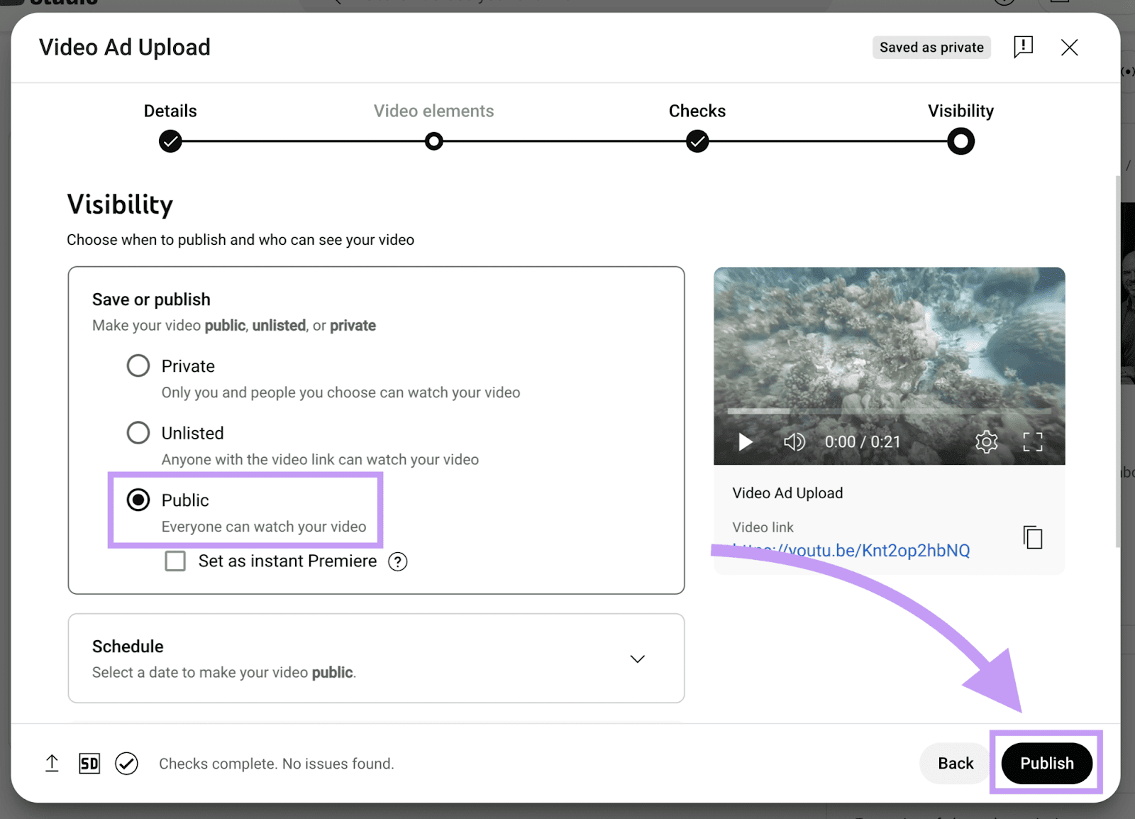YouTube visibility settings with the visibility set to 