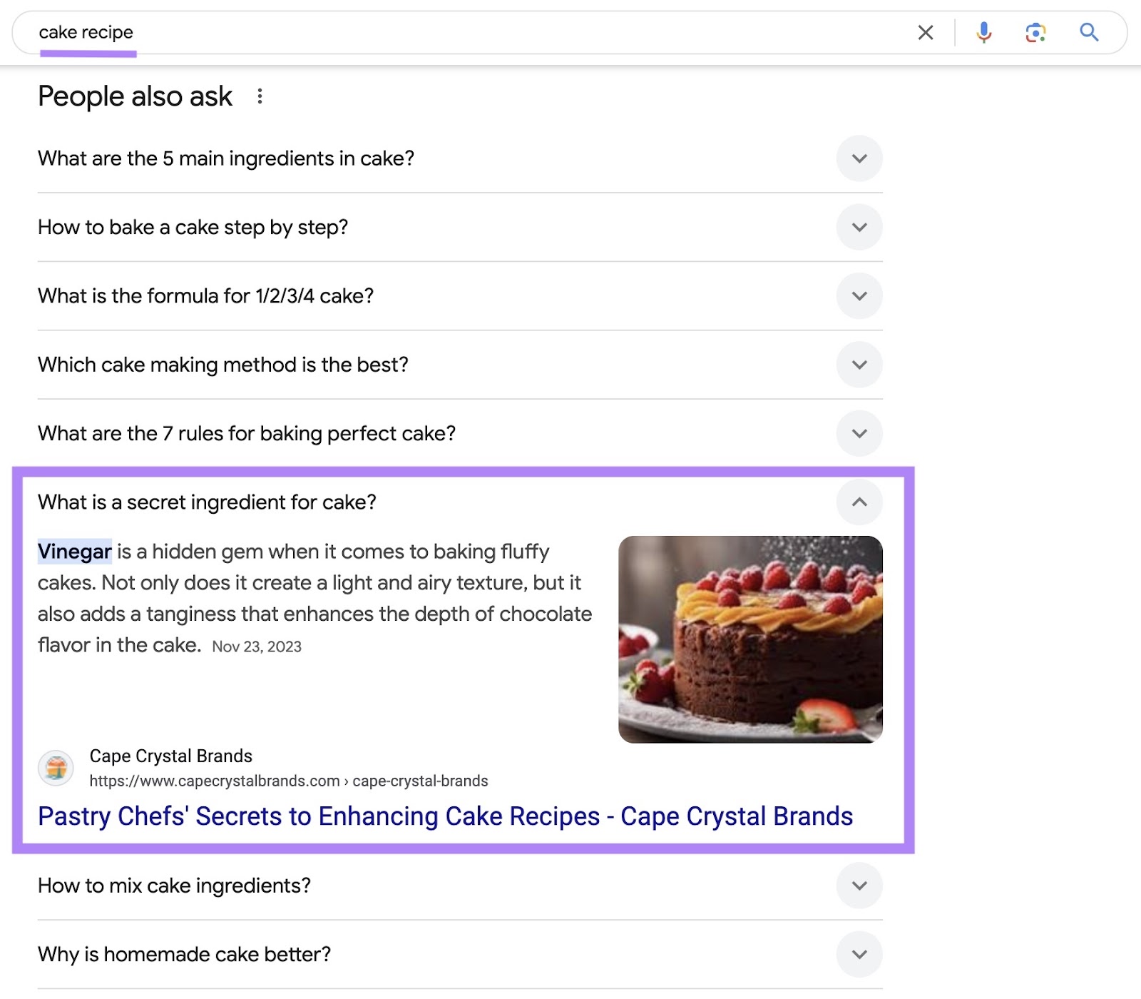 Google SERP for the term 