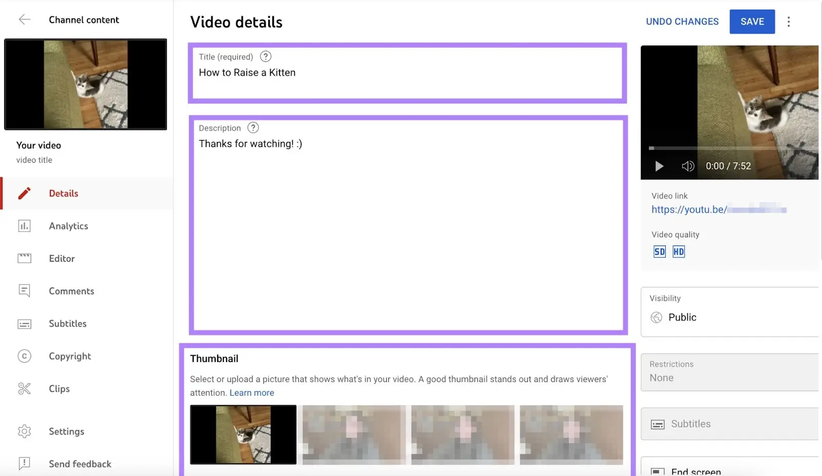 Video details dashboard with Title, 资料描述,而Thumbnails sections highlighted