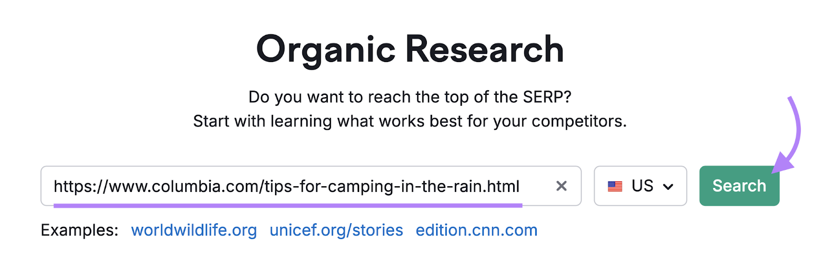 search for competitor url in 有机研究