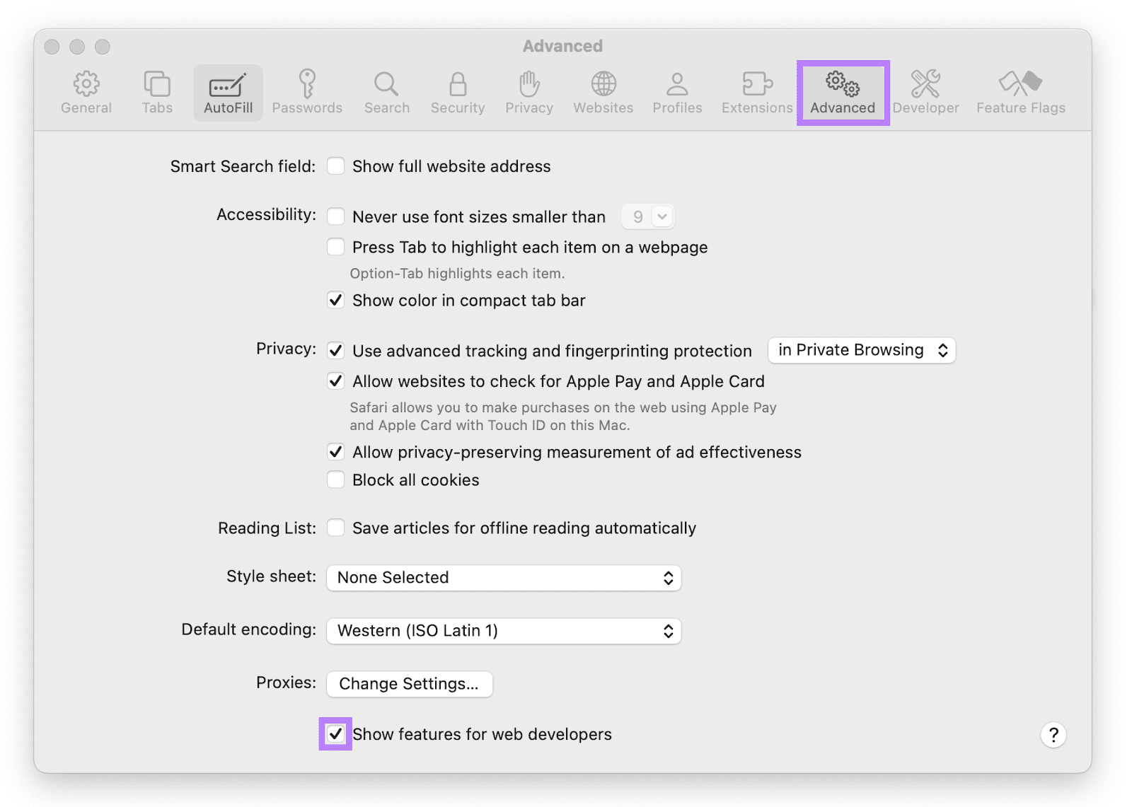 高级 tab selected and Show features for web developers checked.