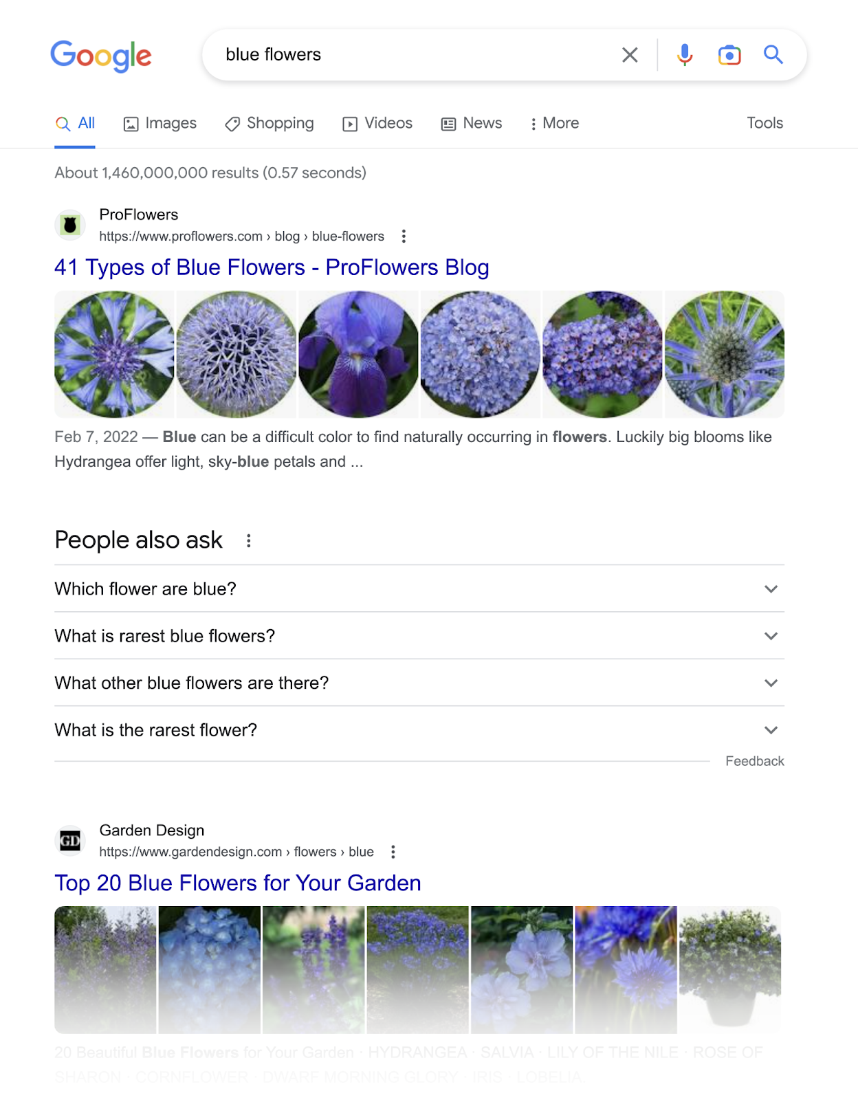 SERP的 for blue flowers shows images with organic listings和the people also ask serp feature