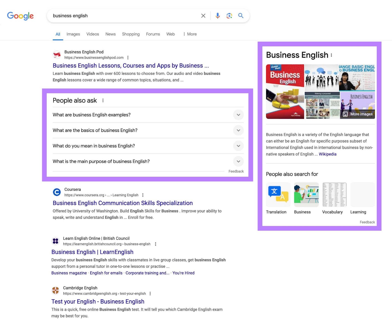 SERP for the term