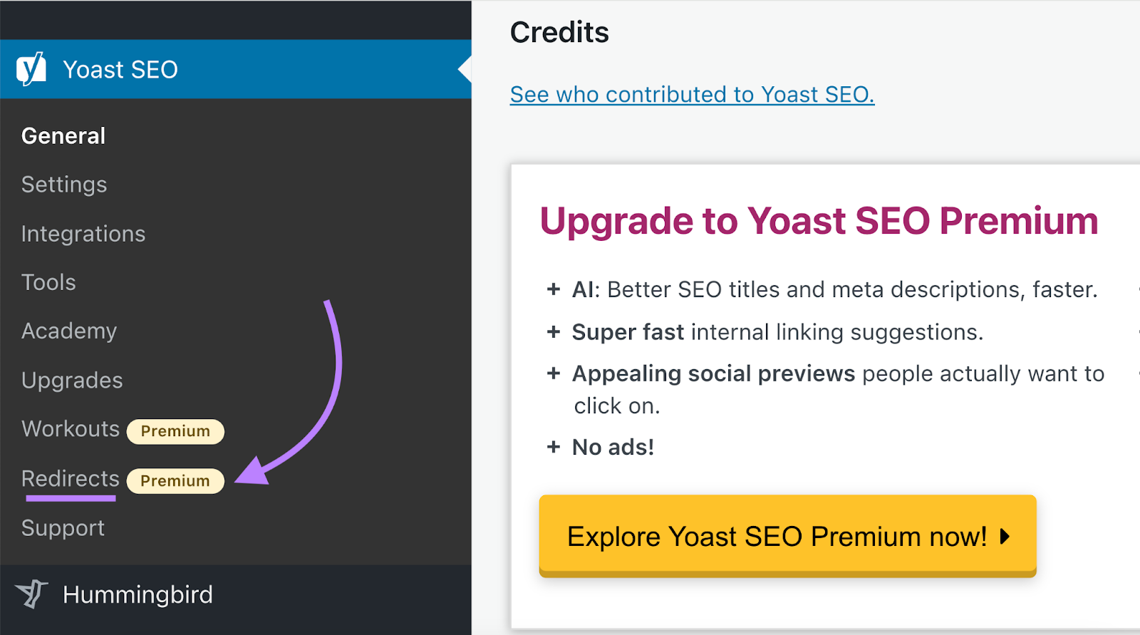 尤斯特 高级行政主任 in WordPress toolbar和重定向 highlighted