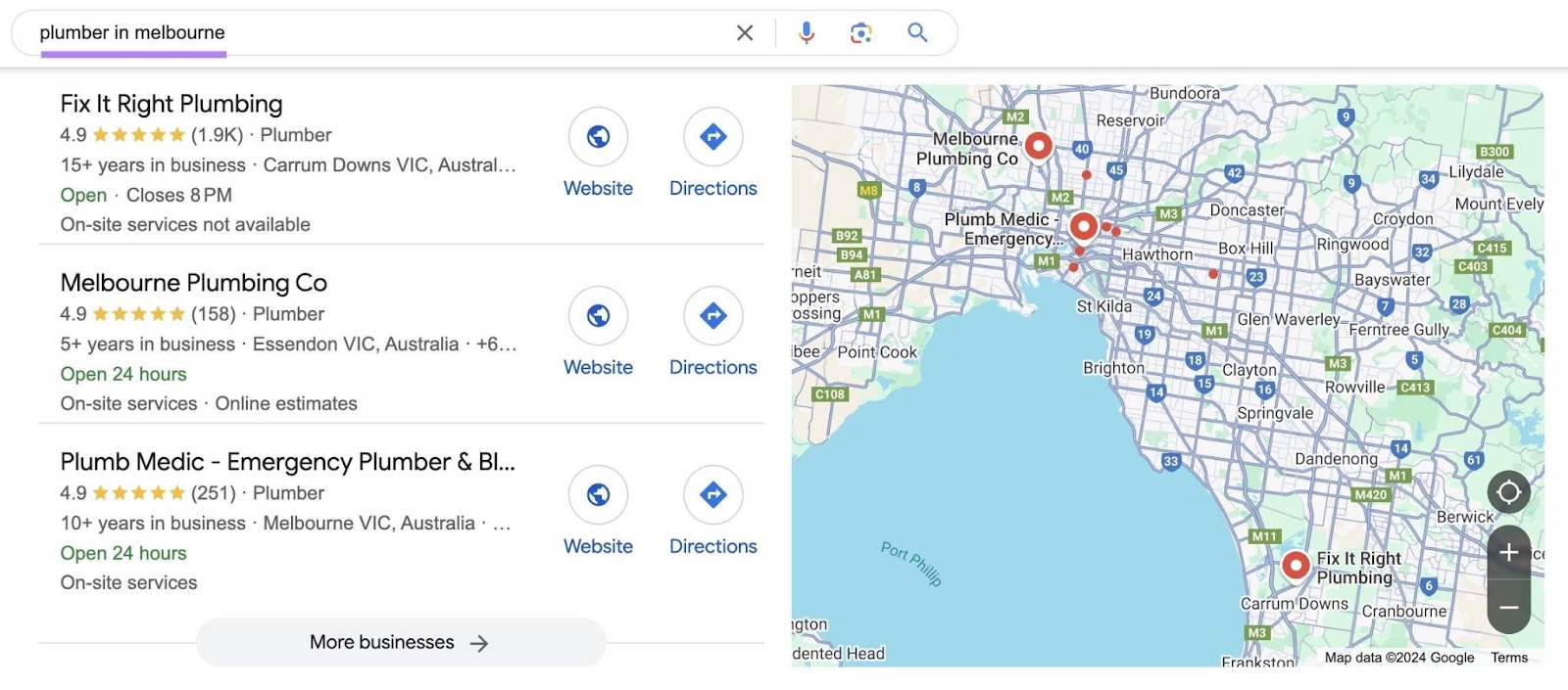 Google SERP with the term