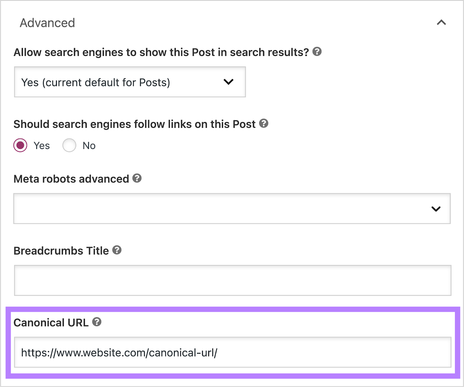 “高级”tab in Yoast 高级行政主任 options