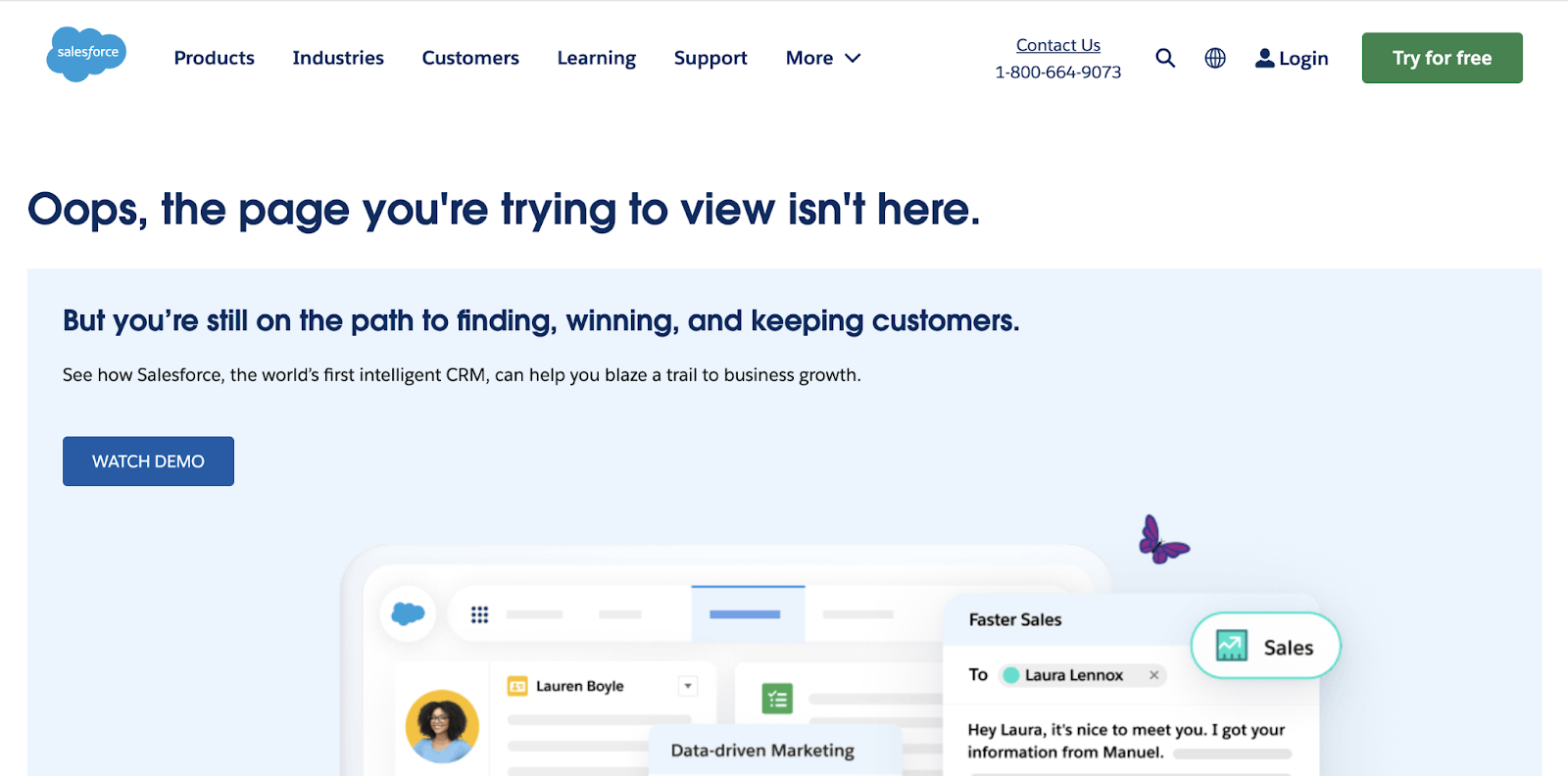 Broken link opens Salesforce page that says 