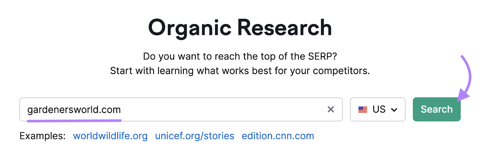 search for a competitor's domain in 有机研究 tool