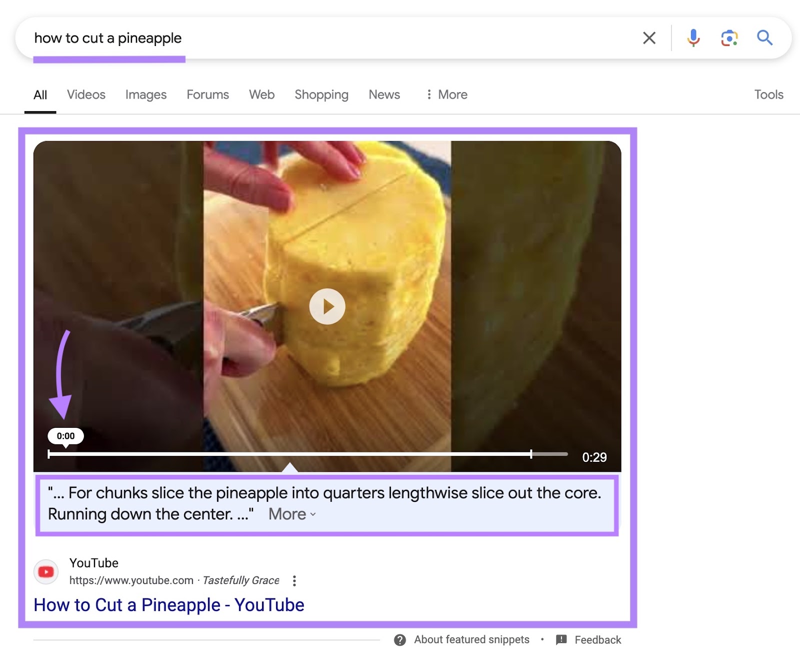 Google SERP for the term 